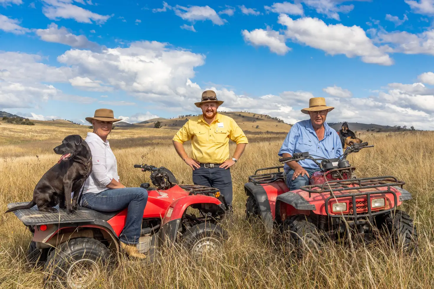 Main view of Homely rural property listing, 1077 Cumbamurra Road, Berremangra NSW 2582