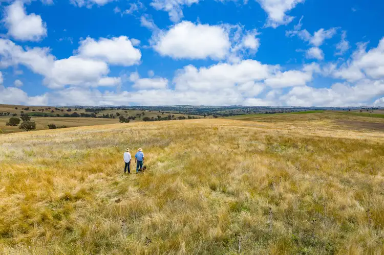 Second view of Homely rural property listing, 1077 Cumbamurra Road, Berremangra NSW 2582
