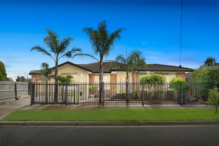 31 Waratah Street