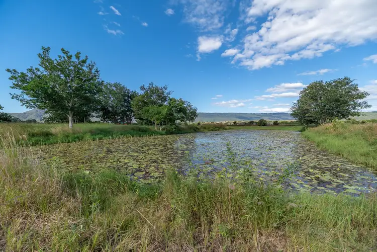 Third view of Homely rural property listing, 328 Boyland Road, Boyland QLD 4275