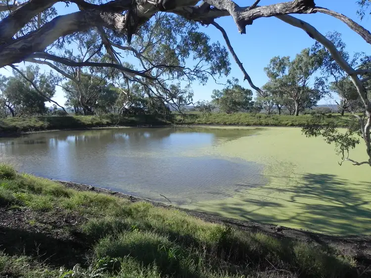 Main view of Homely rural property listing, 0 Felton-Clifton Road, Felton QLD 4358