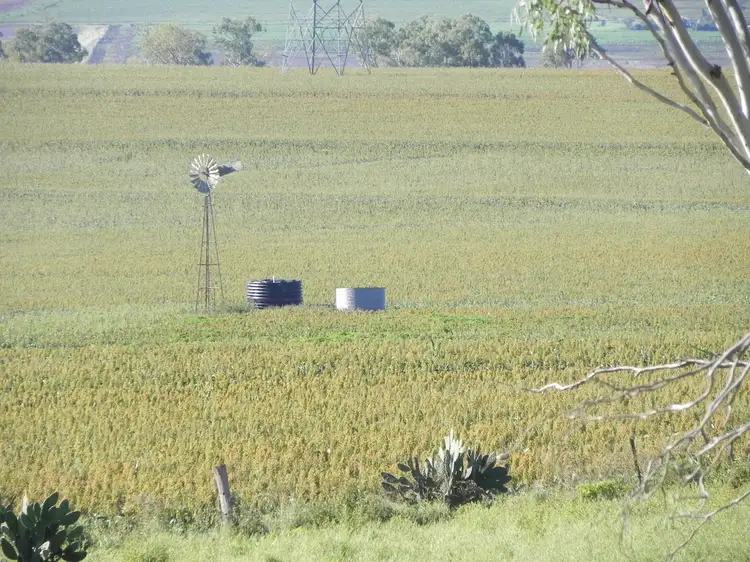 Third view of Homely rural property listing, 0 Felton-Clifton Road, Felton QLD 4358