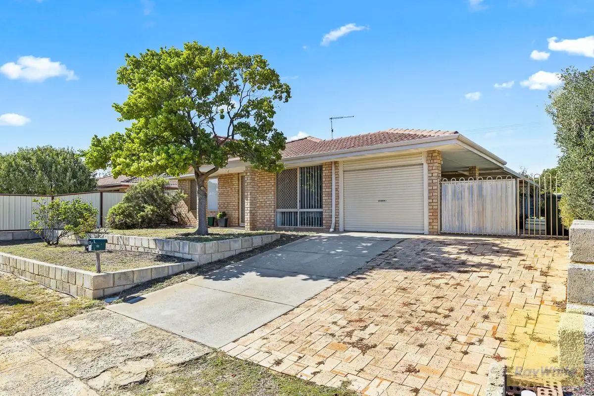 Main view of Homely house listing, 44 Pitchford Glade, Clarkson WA 6030