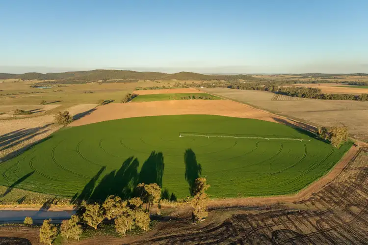 Fourth view of Homely rural property listing, 1592 Casuarina Drive, Gooloogong NSW 2805
