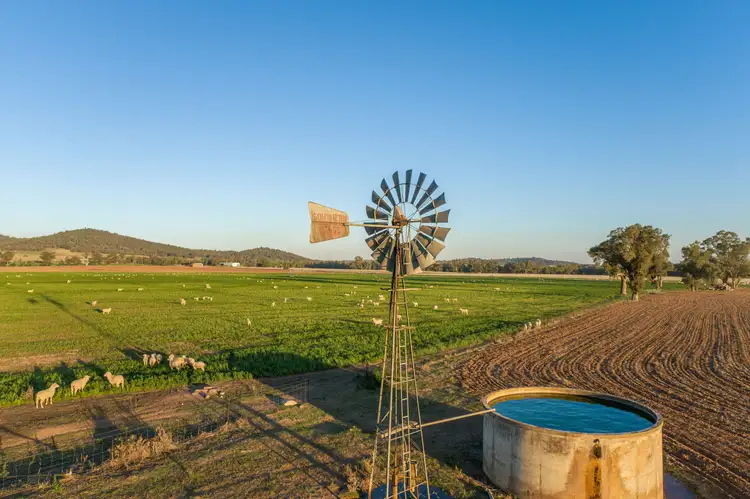 Fifth view of Homely rural property listing, 1592 Casuarina Drive, Gooloogong NSW 2805