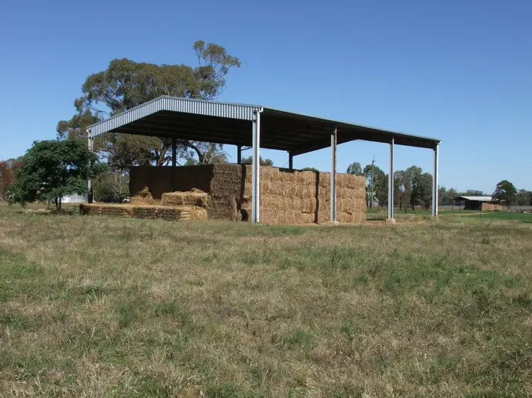 Seventh view of Homely rural property listing, 1592 Casuarina Drive, Gooloogong NSW 2805