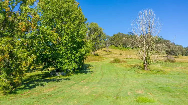 Sixth view of Homely rural property listing, 937 Duck Creek Road, Old Bonalbo NSW 2469