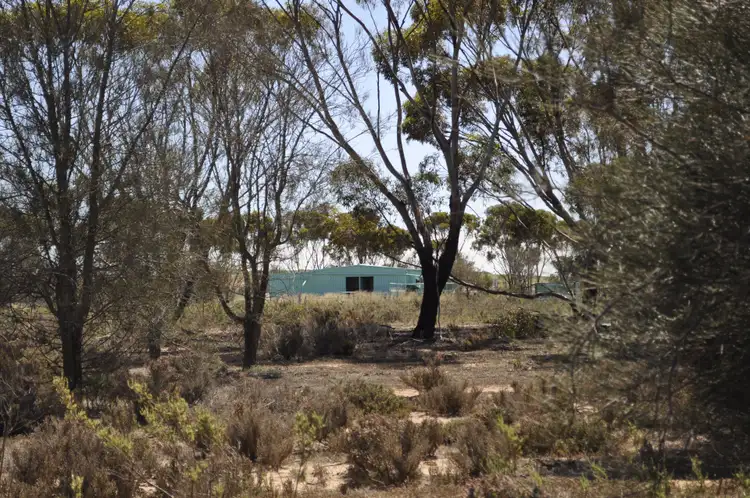 Fourth view of Homely land listing, 37 Kankine Street, Dumbleyung WA 6350