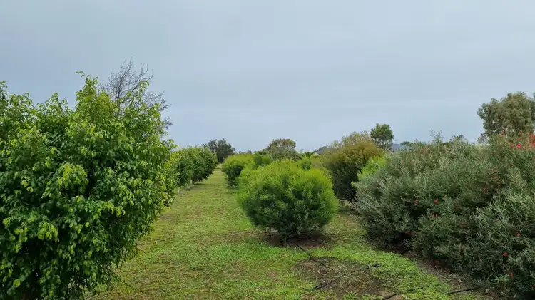Third view of Homely house listing, 44 Dressage Circle, Deepdale WA 6532