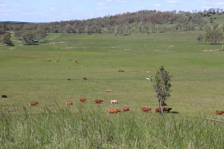 Second view of Homely rural property listing, 150 Tablelands Road, Gin Gin QLD 4671