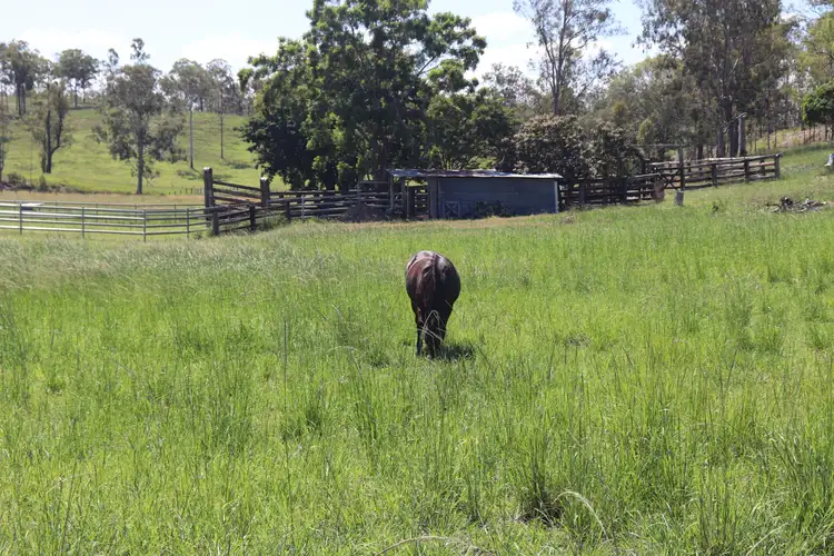 Third view of Homely rural property listing, 150 Tablelands Road, Gin Gin QLD 4671