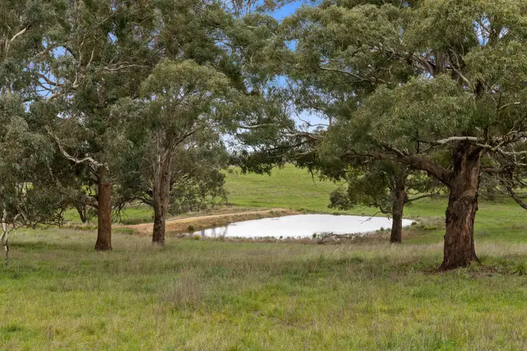 Third view of Homely rural property listing, 1011 Range Road, Goulburn NSW 2580