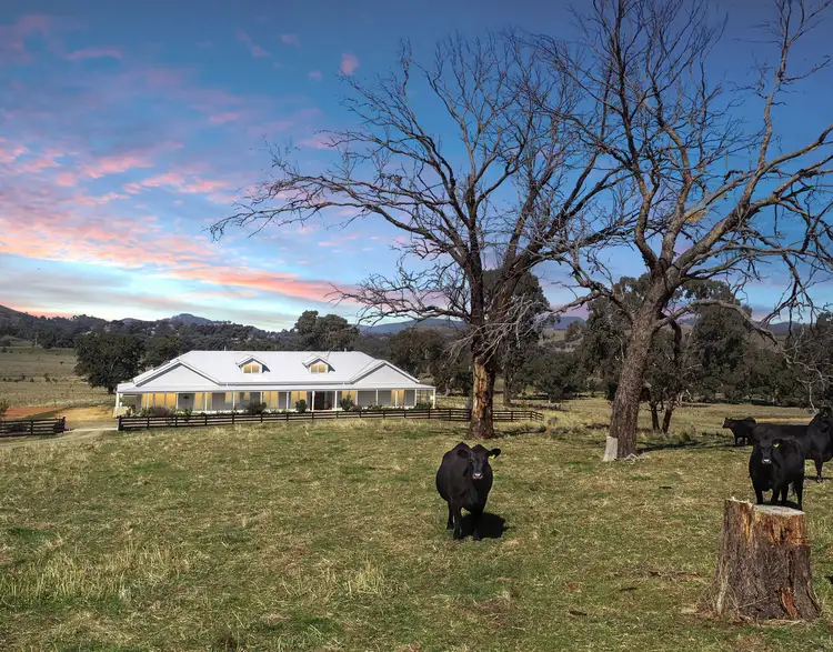Main view of Homely house listing, 43 Lawsons Lane, Mansfield VIC 3722