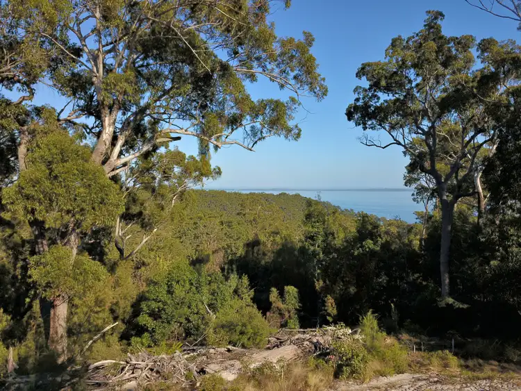 Fifth view of Homely land listing, Lot 5 Kingfisher Bay, Fraser Island QLD 4581