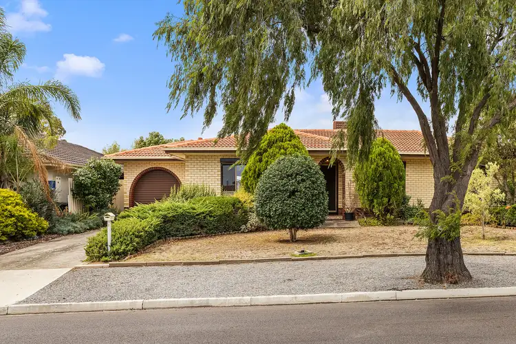 7 Chatswood Grove, Newton SA 5074