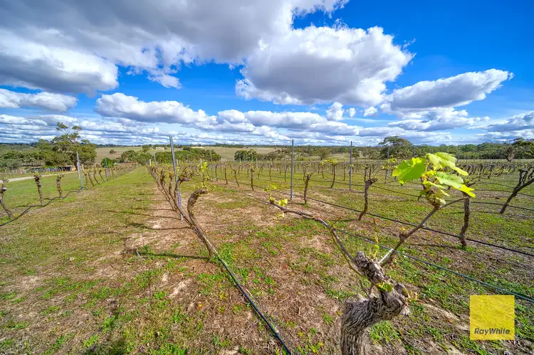 Seventh view of Homely house listing, 2903 Red Gum Pass Road, Kendenup WA 6323