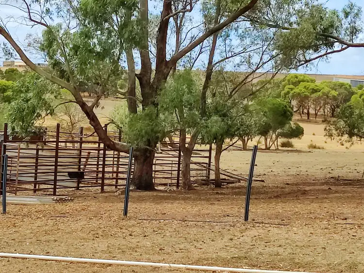 Fifth view of Homely rural property listing, 140 Napier Road, Dalyup WA 6450