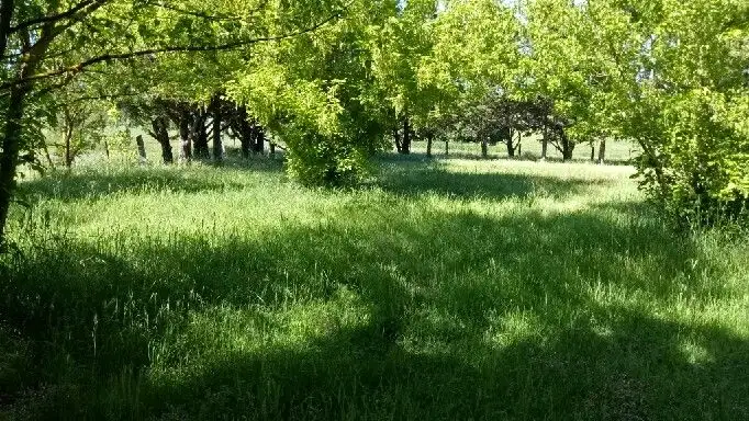 Seventh view of Homely other listing, 2 Selwyn Street Barry, Blayney NSW 2799