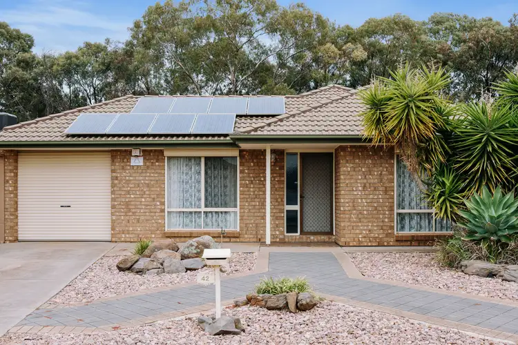 Main view of Homely house listing, 42 Van Leeuwen Drive, Pooraka SA 5095