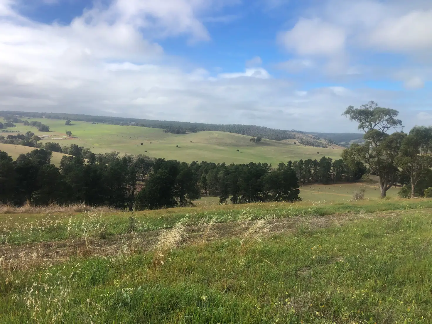 Main view of Homely land listing, 126 Golden Ash Rise, Kangaroo Gully WA 6255