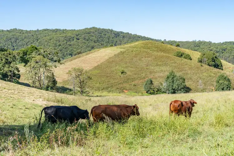 Third view of Homely rural property listing, 766 Urliup Road, Urliup NSW 2484