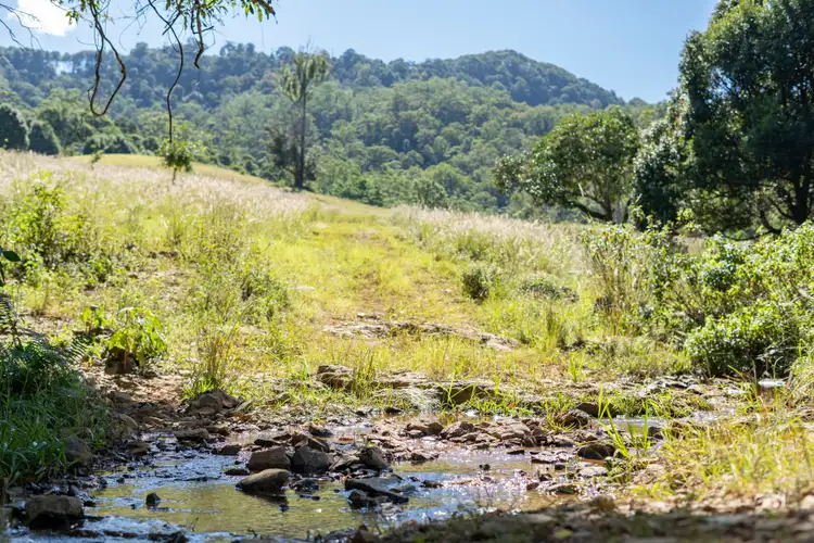 Sixth view of Homely rural property listing, 766 Urliup Road, Urliup NSW 2484