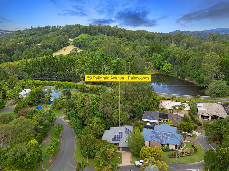 59 Petigrain Avenue, Palmwoods QLD 4555