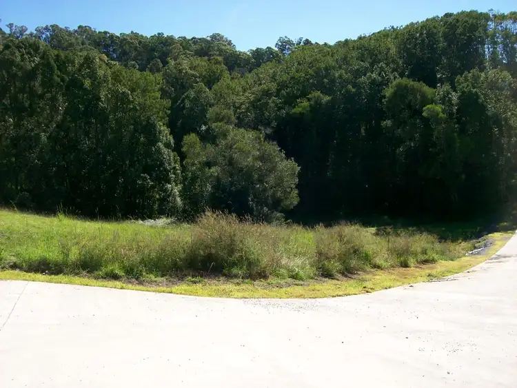 Fifth view of Homely land listing, 59, Lot 4 Old Brierfield Road, Bellingen NSW 2454