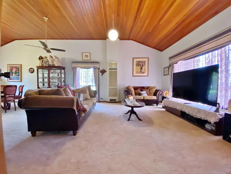 Seventh view of Homely house listing, 375 Back Creek Road, Young NSW 2594