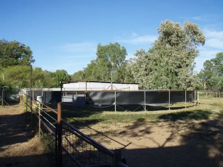 169 Galatea Street, Charleville QLD 4470