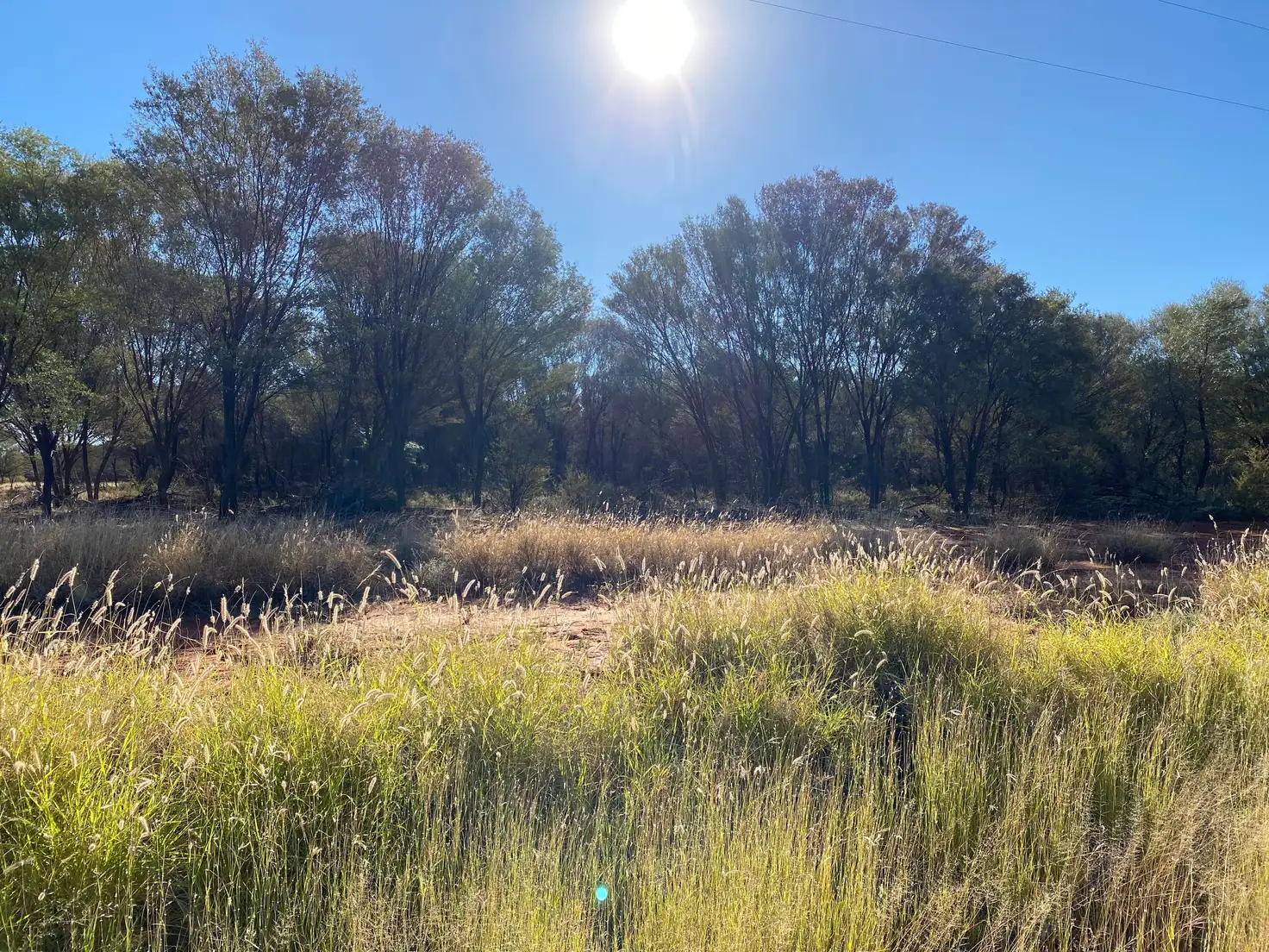 Main view of Homely rural property listing, 0 Red Lane, Charleville QLD 4470