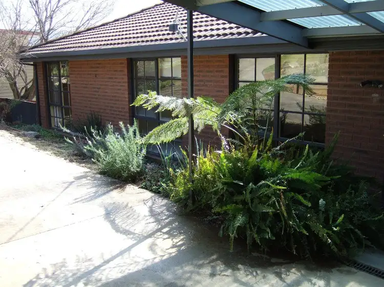 Main view of Homely house listing, 29 Halls Road, Myrtleford VIC 3737