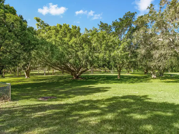 Fourth view of Homely house listing, 31 Chelford Street, Alderley QLD 4051