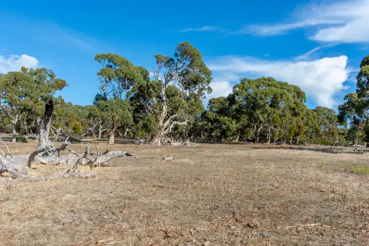 Seventh view of Homely rural property listing, Lot 109 No Where Else Road, Delamere SA 5204