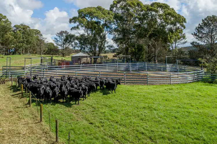 Sixth view of Homely rural property listing, 345 Black Swamp Road, Tenterfield NSW 2372