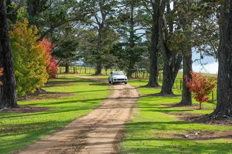 Seventh view of Homely rural property listing, 345 Black Swamp Road, Tenterfield NSW 2372