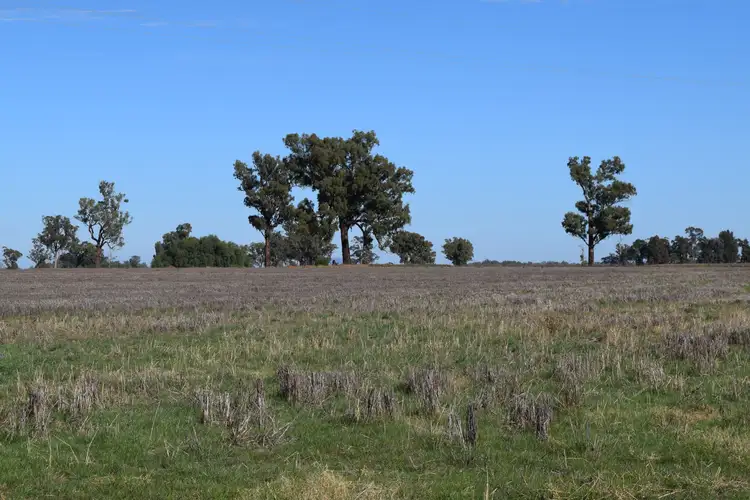 Main view of Homely rural property listing, 3013 Lachlan Valley Way 'Mareetha', Forbes NSW 2871