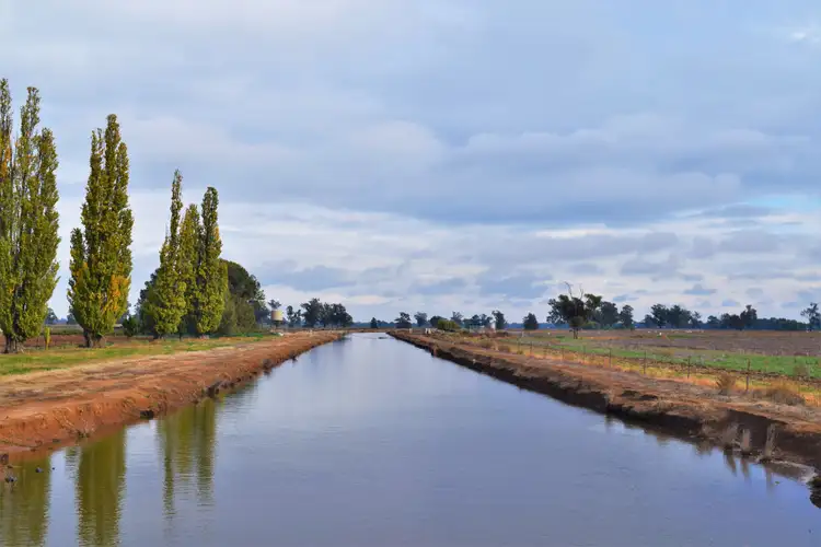 Fifth view of Homely rural property listing, 3013 Lachlan Valley Way 'Mareetha', Forbes NSW 2871