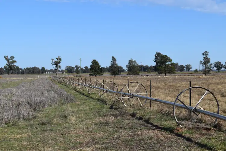 Seventh view of Homely rural property listing, 3013 Lachlan Valley Way 'Mareetha', Forbes NSW 2871