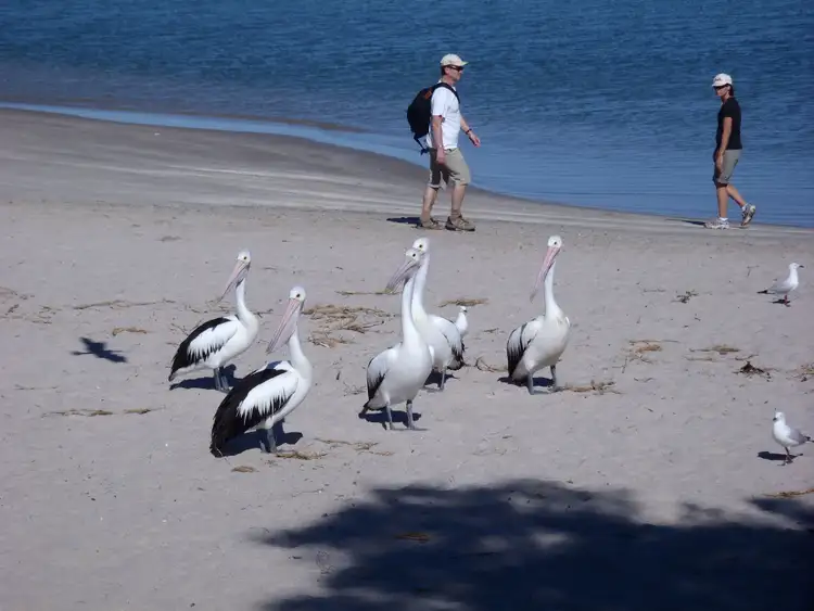 Fourth view of Homely land listing, LOT 4, 13 Ralph Street, Kalbarri WA 6536