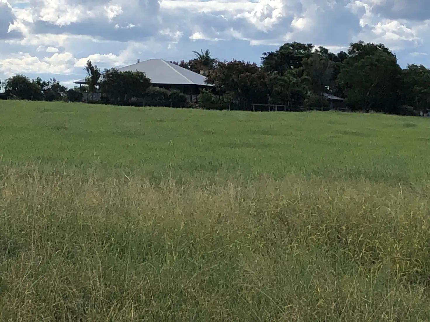 Main view of Homely rural property listing, 130 Mount McEuen Road, Wondai QLD 4606