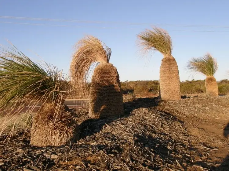Second view of Homely land listing, 9 Lot 27 Phelps Loop, Kalbarri WA 6536