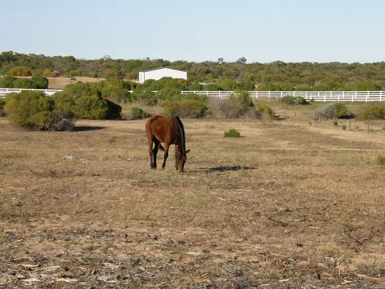 Fourth view of Homely land listing, 8 Lot 11 Ranch Court, Kalbarri WA 6536