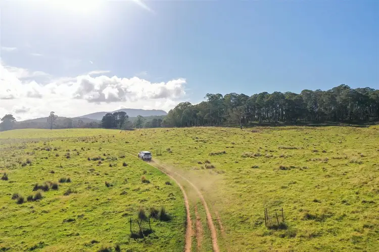 Fourth view of Homely rural property listing, 4394 Kings Highway, Monga, Braidwood NSW 2622