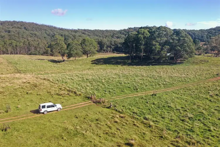 Fifth view of Homely rural property listing, 4394 Kings Highway, Monga, Braidwood NSW 2622