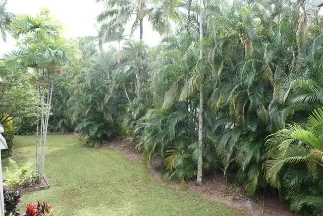 Third view of Homely unit listing, 13/63-65 Moore Street, Trinity Beach QLD 4879