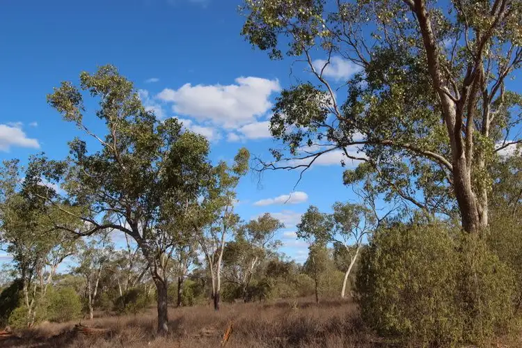 Third view of Homely rural property listing, Lot 5 Charleville-Adavale Road, Charleville QLD 4470
