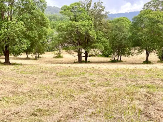 Seventh view of Homely rural property listing, 2 Mystery Road, Guanaba QLD 4210