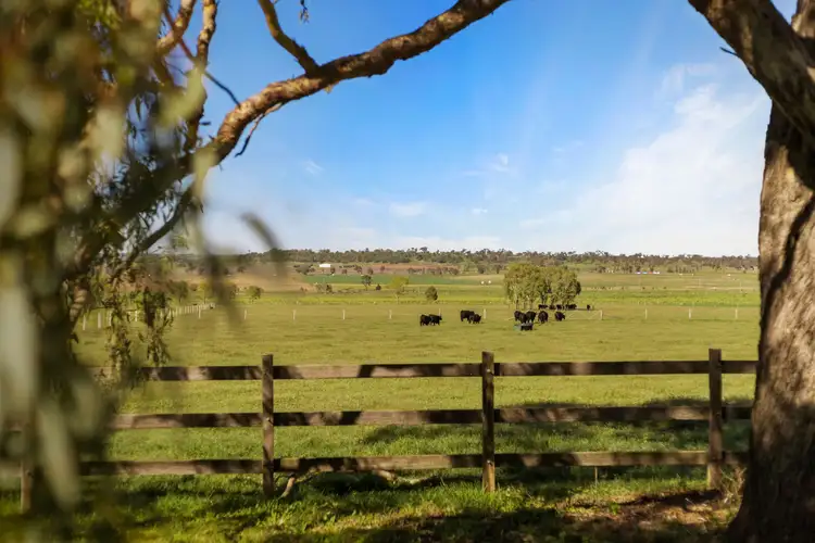 Main view of Homely rural property listing, 360 4AK Road, Kingsthorpe QLD 4400
