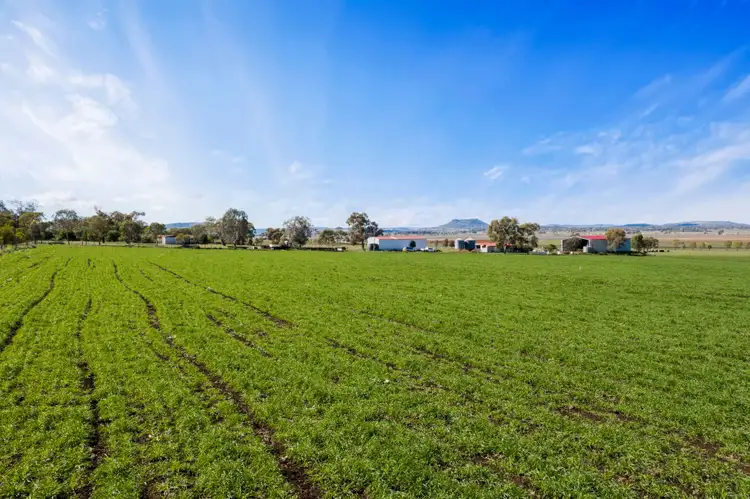 Third view of Homely rural property listing, 360 4AK Road, Kingsthorpe QLD 4400